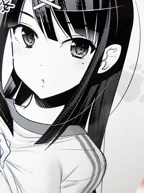 《我老婆大人是学生会长》作者中田由美新作《猛兽性少年少女》单行本发售!-ANICOGA